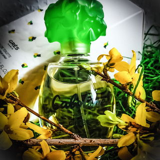 Blumig, Grűn und passt im Frűhling.