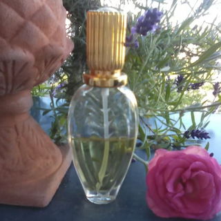 Escada (1990) / Escada Margaretha Ley (Eau de Parfum) by Escada