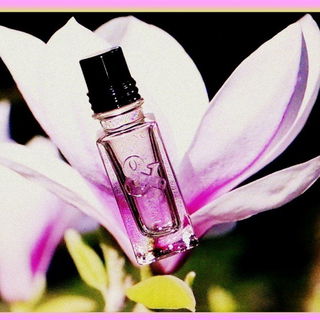 Magnolia & Mûre - L'Occitane en Provence