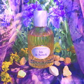 Komm mit mir ins Puderwolkenglück.... (by Setterliebe)