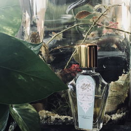 Classic Collection: Aqua Composita - Eau d'Iris - Florascent