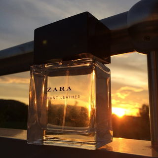 Vibrant Leather (Eau de Toilette) - Zara