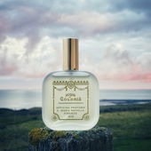 The end. (von Knopfnase)