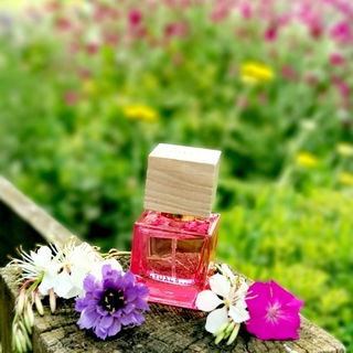 Mein kleiner Neuzugang :-)