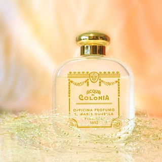 Città di Kyoto - Santa Maria Novella