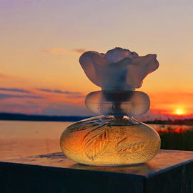 Abendzauber am See 🧡 Danke für all Eure schönen Kommentare 🧡