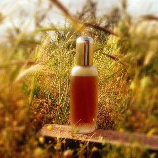 Aromatics Elixir (Perfume) - Clinique