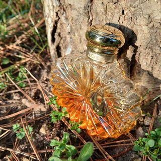 Soleil Vibrant Lalique (Eau de Parfum) - Lalique