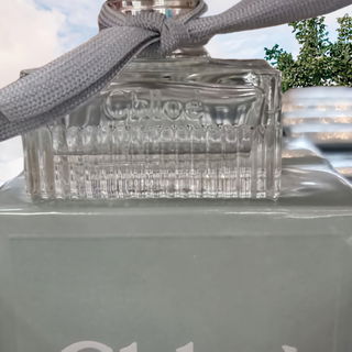 Chloé Rose Naturelle / Chloé Eau de Parfum Naturelle - Chloé