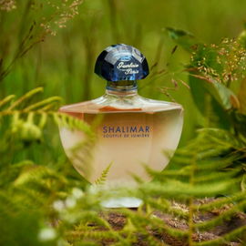 Shalimar Souffle de Lumière - Guerlain