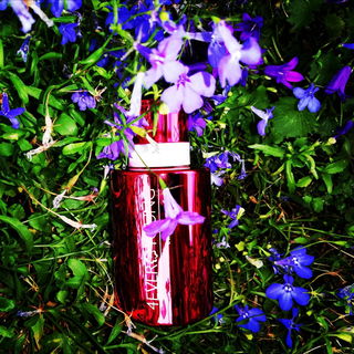 4ever Young - 4ever Young