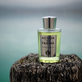 Safari for Men (Eau de Toilette) - Ralph Lauren
