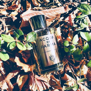 Colonia Intensa (Eau de Cologne) - Acqua di Parma
