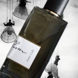 Ambre Cello - L'Orchestre Parfum