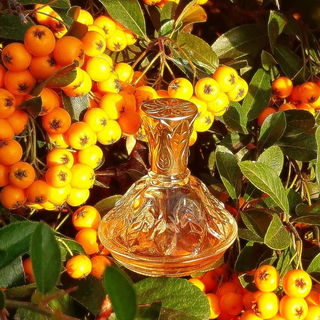 Elusive (Perfume) - Avon