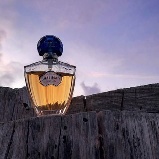 Shalimar (Eau de Parfum) von Guerlain