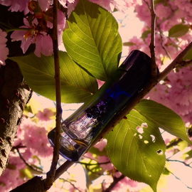 Armani Code pour Femme (Eau de Parfum) - Giorgio Armani