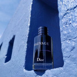 Sauvage (Eau de Toilette) - Dior