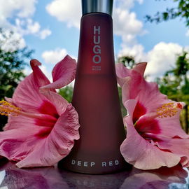 Hibiskuszauber
