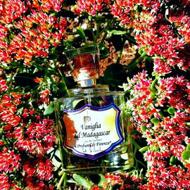 Vaniglia del Madagascar (Eau de Parfum) - Spezierie Palazzo Vecchio / I Profumi di Firenze