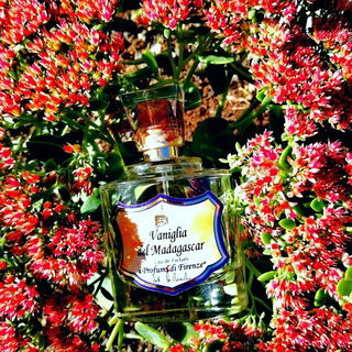 Vaniglia del Madagascar (Eau de Parfum) - Spezierie Palazzo Vecchio