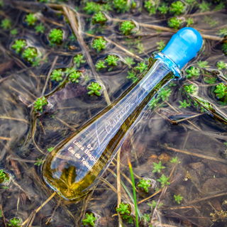 Laura (Eau de Toilette) - Laura Biagiotti