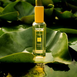 Frangipani Flower - Jo Malone