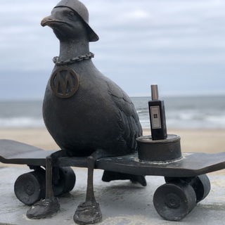 Gestatten, mein Name ist Malone. Jo Malone //    Ich danke euch für die lieben Kommentare und grüße alle herzlich von der Ostsee 🌊