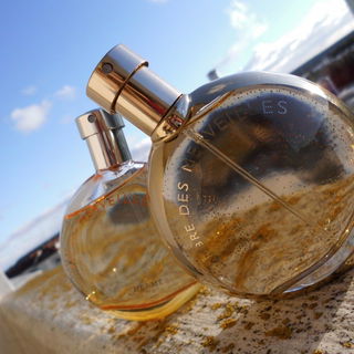 L'Ambre des Merveilles von Hermès