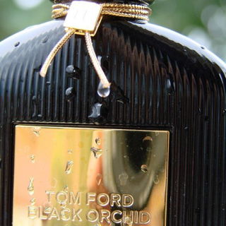 Black Orchid (Eau de Parfum) von Tom Ford