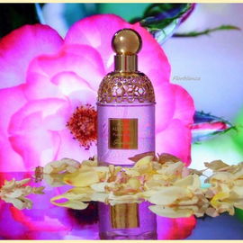 Aqua Allegoria Flora Rosa - Guerlain
