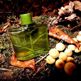 Homme Nature / Nature pour Homme (Eau de Toilette) - Yves Rocher