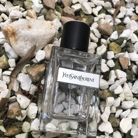 Y (2017) (Eau de Toilette) - Yves Saint Laurent