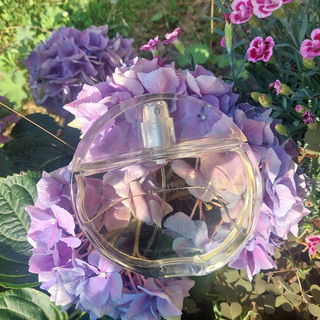 Vocalise / ヴォカリーズ (Eau de Parfum) von Shiseido