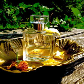 Ta'if (Eau de Parfum) - Ormonde Jayne