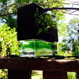 Envy for Men (Eau de Toilette) - Gucci