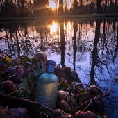 Zara verschläft den Sonnenaufgang am Schlossteich (by Graybeard)