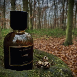 Spirito von Meo Fusciuni