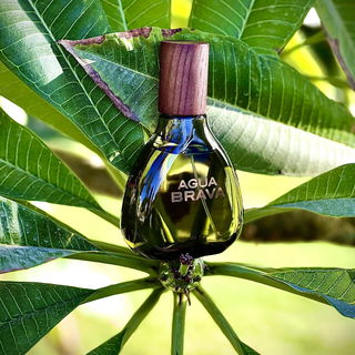 Agua Brava (1968) (Eau de Cologne) von Puig