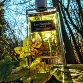 Ja, die Novembersonne kann auch zaubern - freue mich sehr über Euren lieben Besuch  🍁🌞 (by Skydiver19)