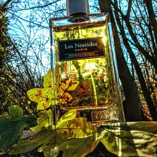 Patchouli Antique (Eau de Parfum)