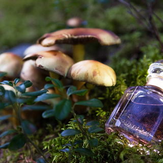 Mon Guerlain (Eau de Parfum) von Guerlain