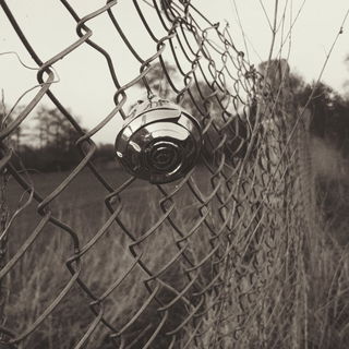 Doch wo ein RΓΆslein erblΓΌht auf Stacheldraht .....