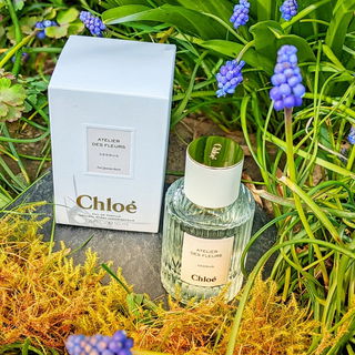 Cedrus (Eau de Parfum) - Chloé