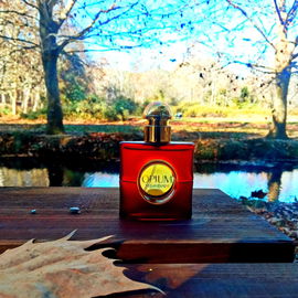 Opium (2009) (Eau de Toilette) - Yves Saint Laurent