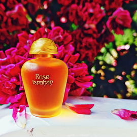 Ein üppiger Rosenduft vor passender Kulisse im Rosengarten in Überlingen 🌹🥀🌹