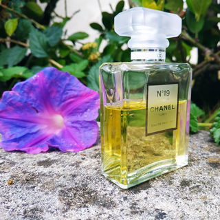 N°19 Poudré by Chanel