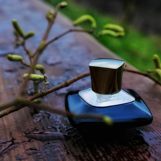 Signorina Misteriosa