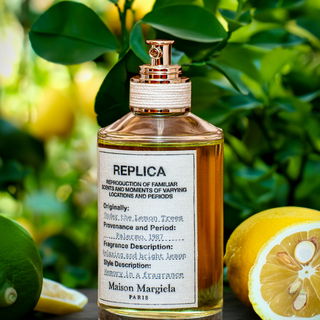 Under The Lemon Trees by Maison Margiela