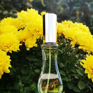 Ein gelber üppiger Blumenbogen.